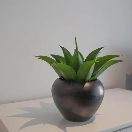 דירה Joli Avec Jardin Bord De *