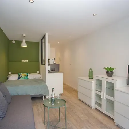 Joli Studio Avec Jardin Bord De Mer Apartment Saint-Mandrier-sur-Mer